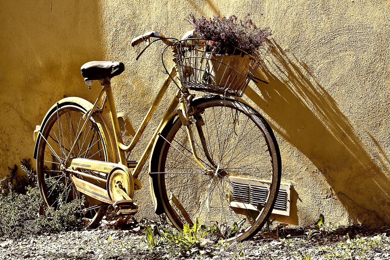Tipos de Bicicleta y sus Usos